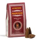 Drachenblut - Backflow & Rückfluss Räucherkegel - Ayurvedic